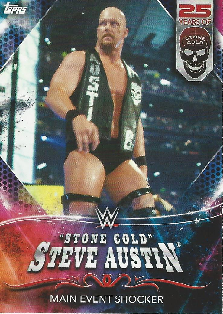 WWE TOPPS プロレスカード フィンベイラー アンダーソン サイン
