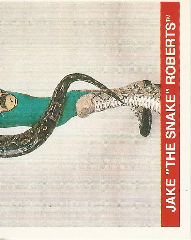 WWF Merlin Sticker Collection 1990 Jake the Snake Roberts No.188