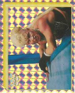 WWF Merlin Sticker Collection 1994 Luna Vachon No.189 Version 2