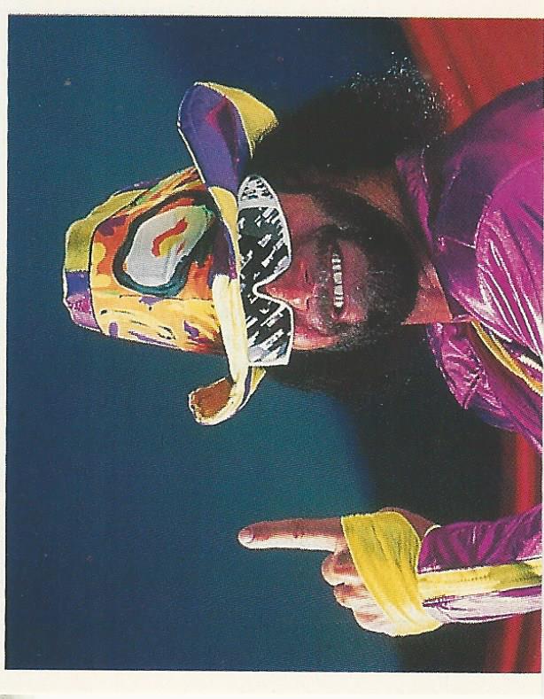 WWF Merlin Stickers 1991 Macho Man Randy Savage No.189