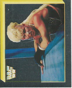 WWF Merlin Sticker Collection 1994 Luna Vachon No.189