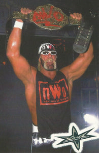 WCW Crazy Planet Stickers 1999 Hulk Hogan