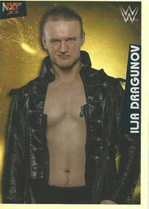 WWE Panini 2022 Sticker Collection Ilja Dragunov Foil No.191