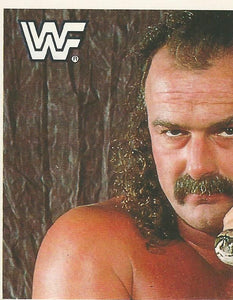 WWF Merlin Sticker Collection 1990 Jake the Snake Roberts No.191