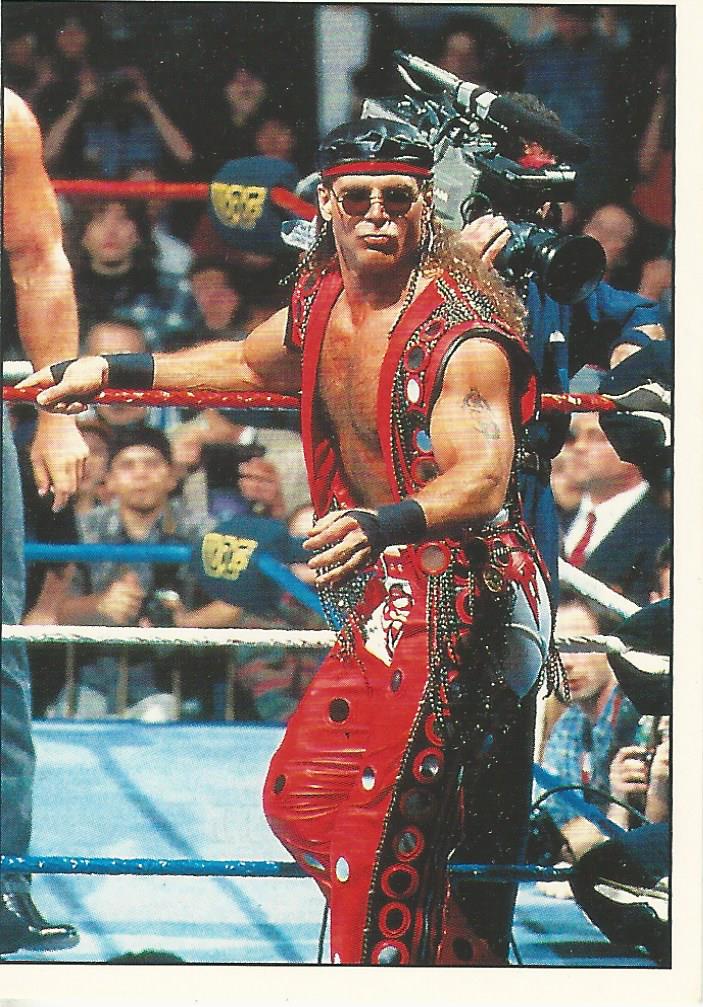 WWF Panini 1995 Sticker Collection Shawn Michaels No.192