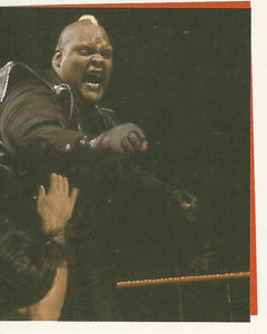 WWF Smackown Stickers 2000 Viscera No.193