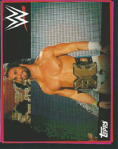 WWE Topps Road to Wrestlemania Stickers 2021 Seth Rollins No.194