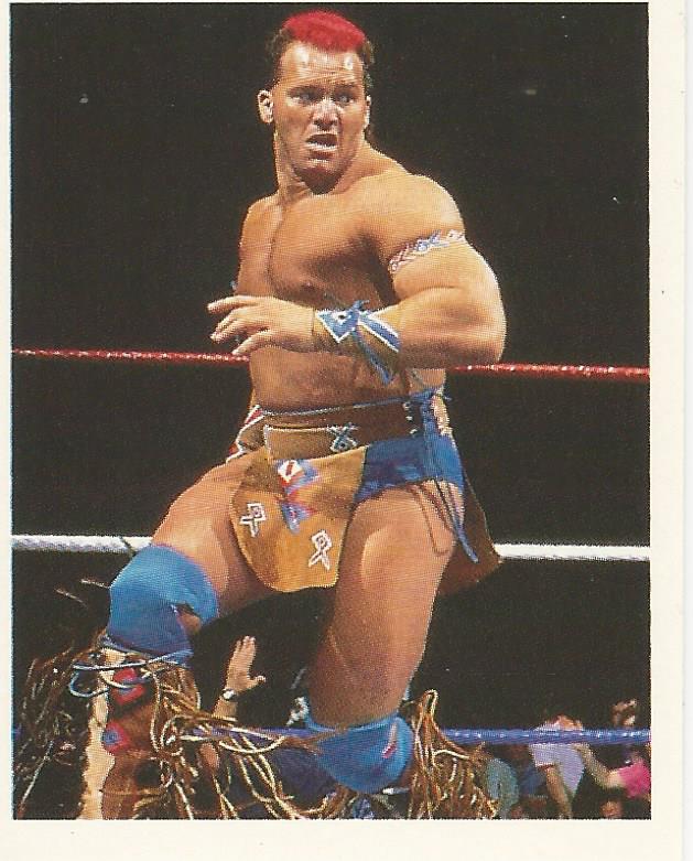 WWF Merlin Stickers 1992 Tatanka No.194