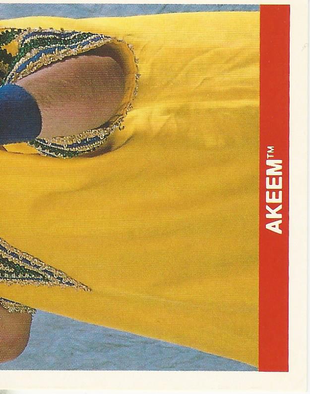 WWF Merlin Sticker Collection 1990 Akeem No.196