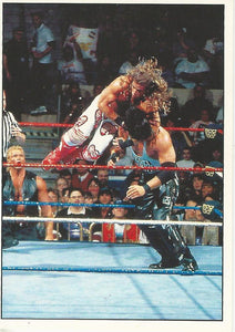 WWF Panini 1995 Sticker Collection Shawn Michaels No.197