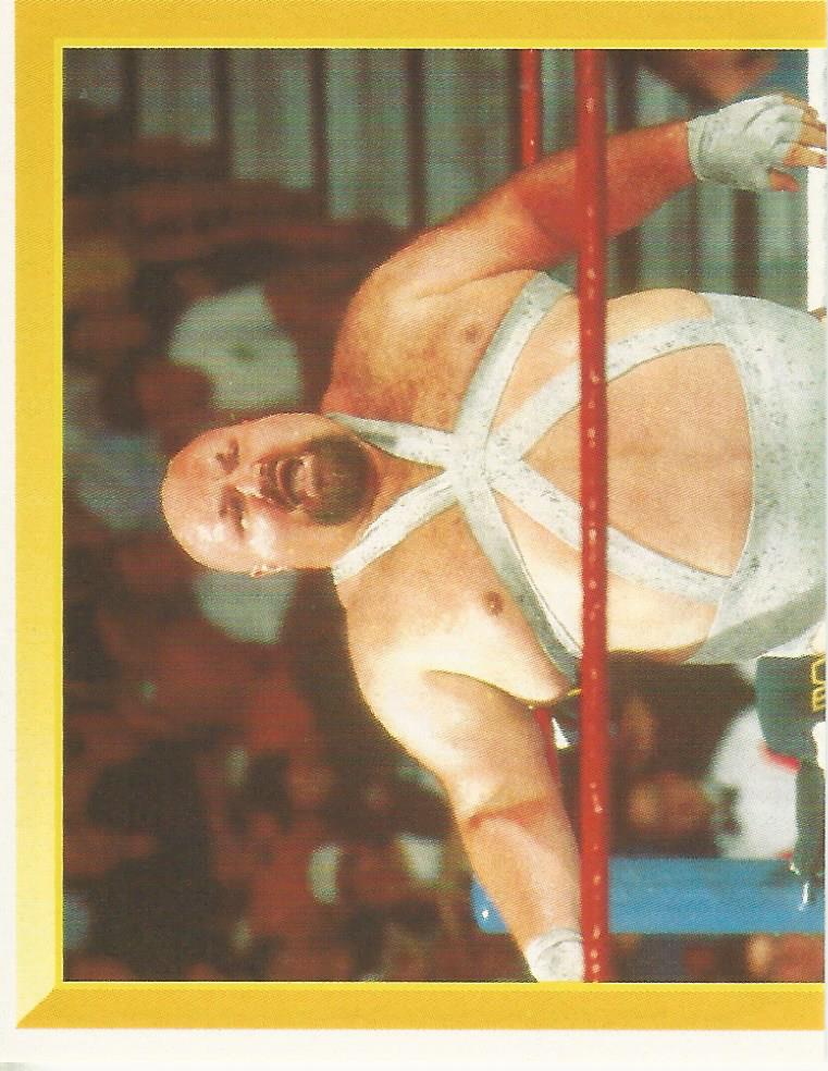 WWF Merlin Sticker Collection 1994 Bastion Booger No.199