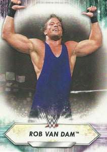 WWE Topps 2021 Trading Cards Rob Van Dam No.199