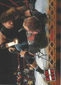 WWF Fleer Raw 2001 Trading Cards Raven No.19