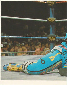 WWF Merlin Stickers 1992 Max Moon No.19