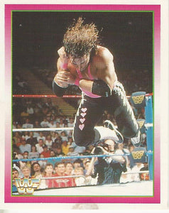 WWF Merlin Stickers 1995 Bret Hart No.19