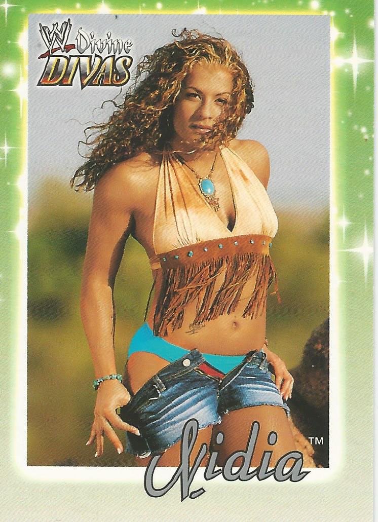 WWE Fleer Divine Divas Trading Card 2003 Nidia No.19