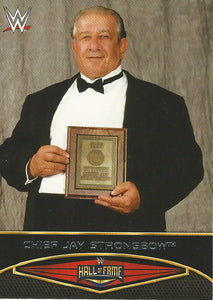 WWE Topps Road to Wrestlemania 2015 Trading Cards Chief Jay Strongbow 1 of 30