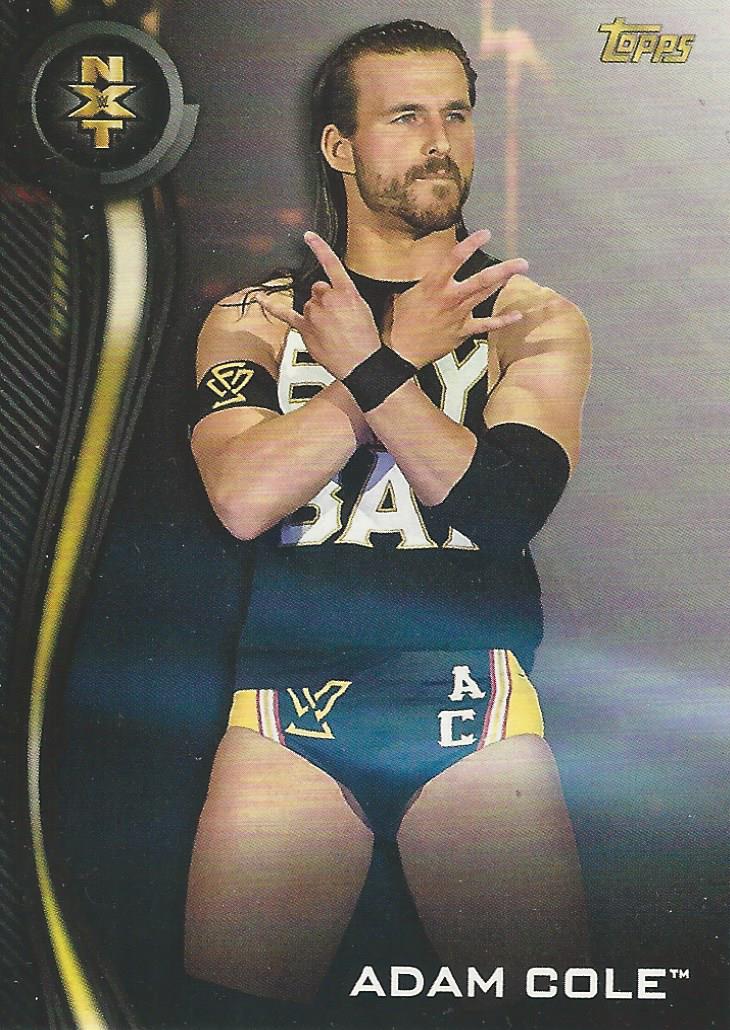 WWE Topps NXT 2019 Trading Cards Adam Cole No.1
