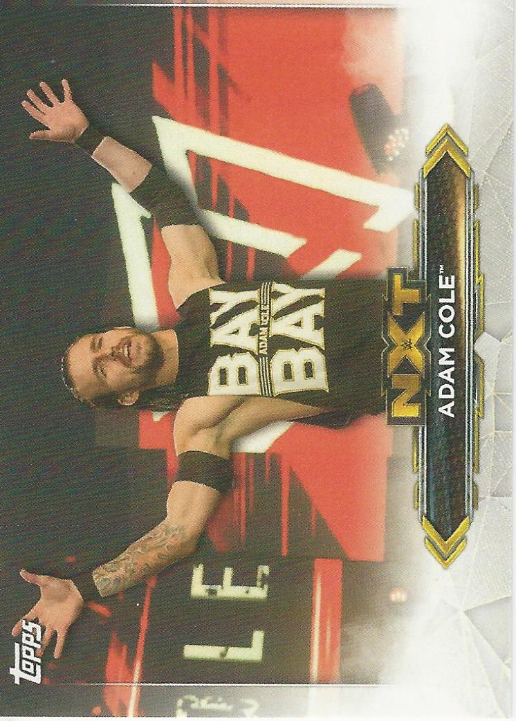 WWE Topps NXT 2020 Trading Cards Adam Cole No.1