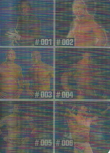 WWE Prominter Animotion 2005 Trading Cards Checklist No.1 Booker T, Basham Brothers, Batista
