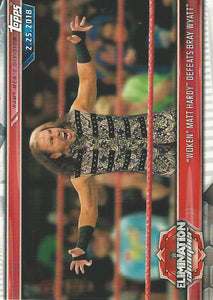 WWE Topps Champions 2019 Trading Cards Matt Hardy No.100