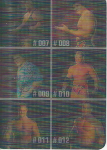 WWE Prominter Animotion 2005 Trading Cards Checklist No.2 Big Show, Carlito, Haas, Benoit
