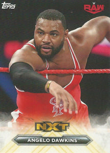 WWE Topps NXT 2020 Trading Cards Angelo Dawkins CU-2