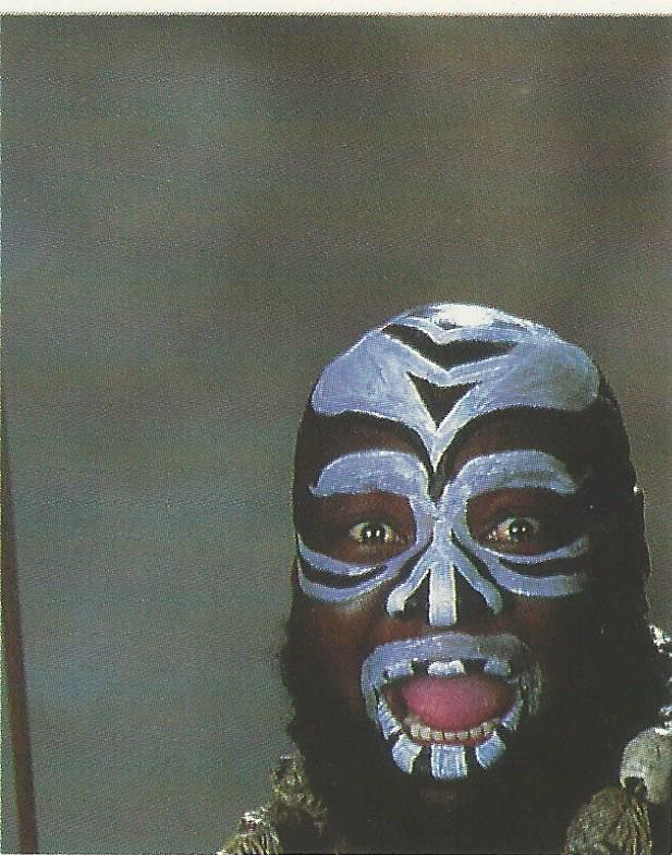 WWF Merlin Stickers 1992 Kamala No.203