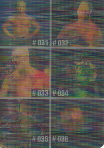 WWE Prominter Animotion 2005 Trading Cards Checkilst No.6 Hardcore Holly, Heidenreich, Hurricane, Ross, Lawler