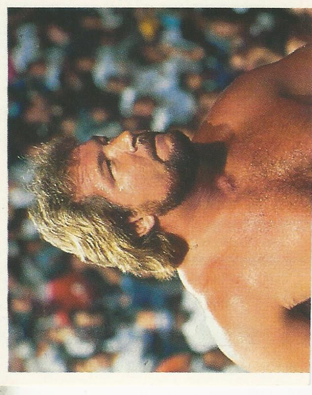 WWF Merlin Stickers 1991 Million Dollar Man Ted Dibiase No.206