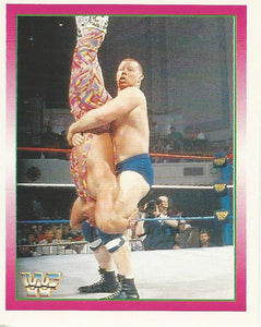 WWF Merlin Stickers 1995 Bob Backlund No.207