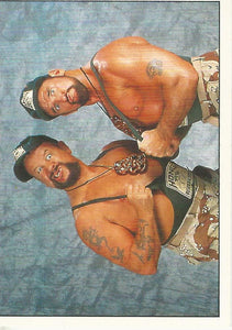 WWF Panini 1995 Sticker Collection Bushwhackers No.208
