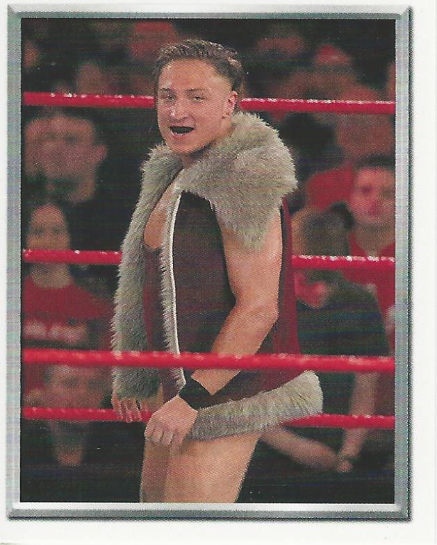 WWE Topps 2018 Stickers Pete Dunne No.209