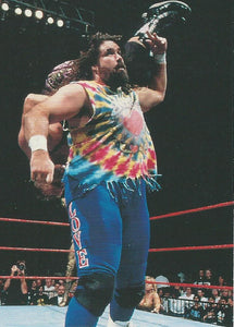 WWF Superstarz 1998 Trading Card Dude Love No.20