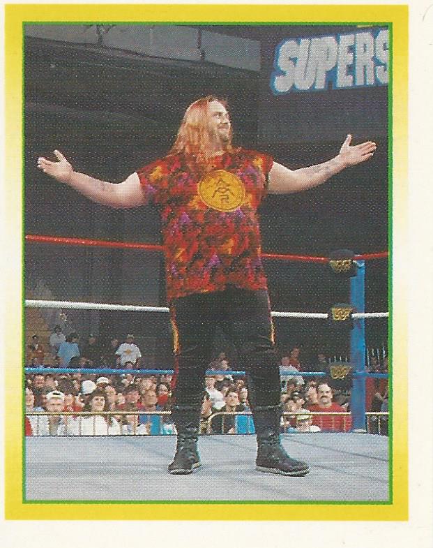 WWF Merlin Stickers 1995 Man Mountain Rock No.210