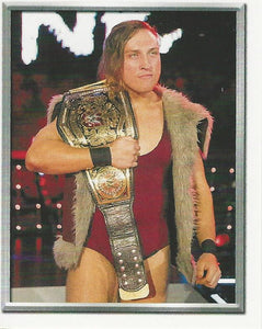 WWE Topps 2018 Stickers Pete Dunne No.211