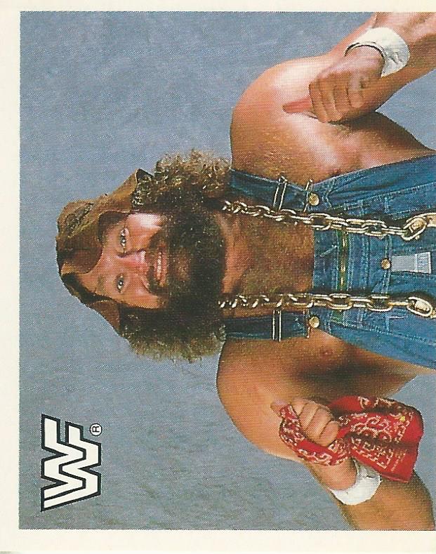 WWF Merlin Sticker Collection 1990 Hillbilly Jim No.211