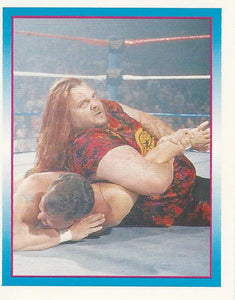 WWF Merlin Stickers 1995 Man Mountain Rock No.212