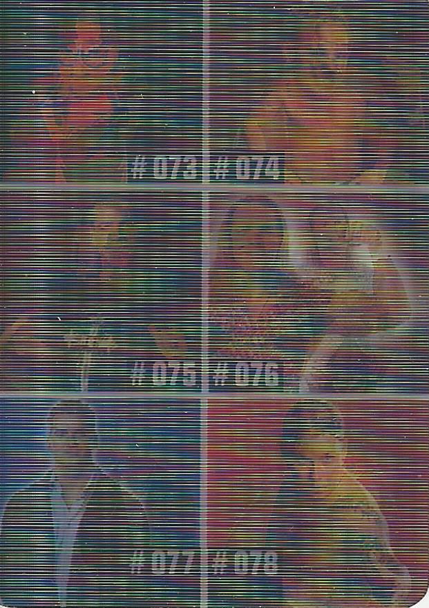 WWE Prominter Animotion 2005 Trading Cards Checklist No.13 Rosey, Hotty, Shawn Michales, McMahon, Moore