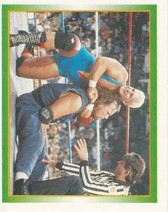 WWF Merlin Stickers 1995 Skip No.213