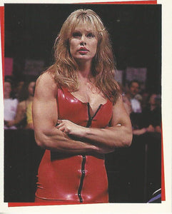 WWF Smackdown Stickers 2000 Tori No.214