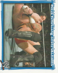 WWE Topps Superstars Uncovered 2007 Sticker Collection CM Punk No.217