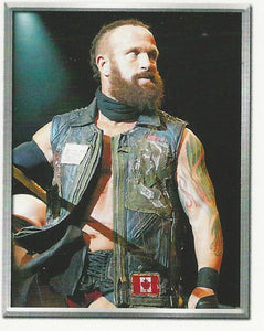 WWE Topps 2018 Stickers Eric Young No.218