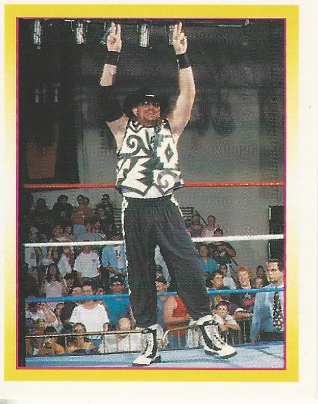 WWF Merlin Stickers 1995 Road Dogg No.219