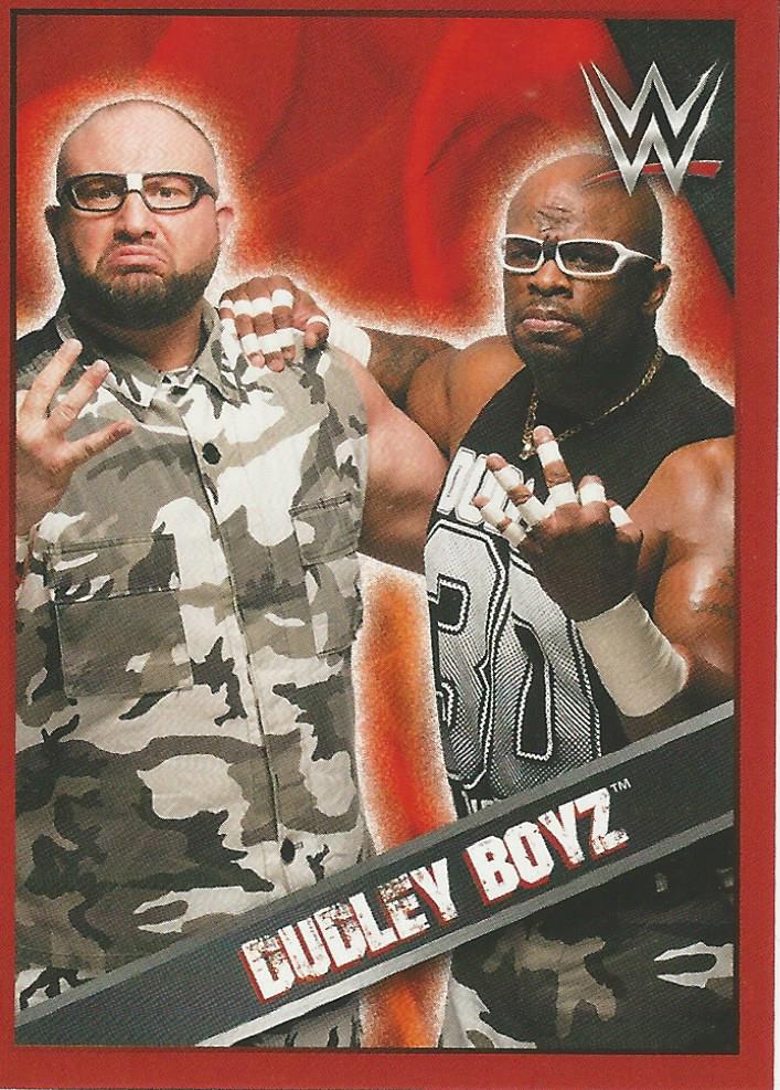 WWE Topps Then Now Forever 2016 Stickers Dudley Boyz No.21