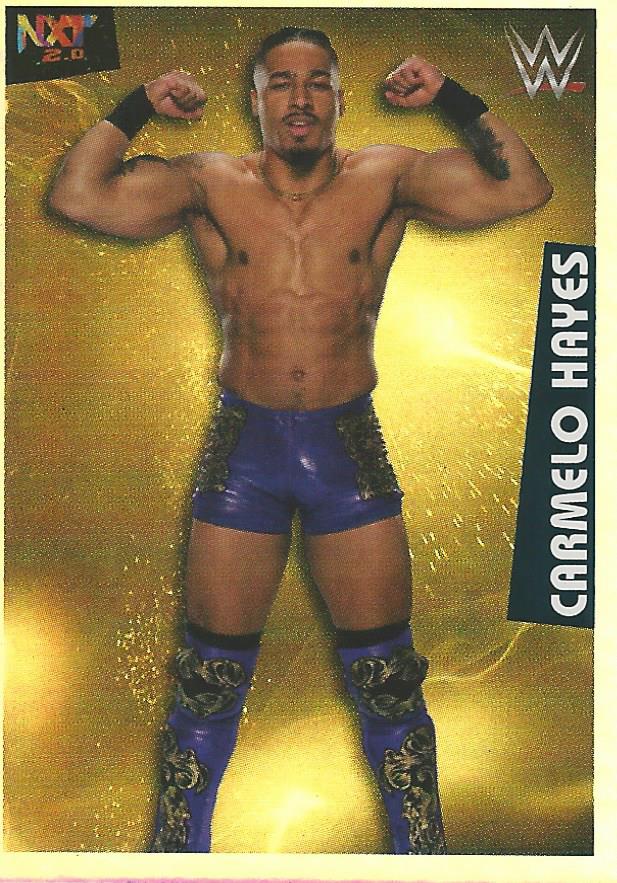 WWE Panini 2022 Sticker Collection Carmelo Hayes Foil No.220