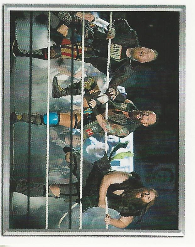 WWE Topps 2018 Stickers Sanity No.220