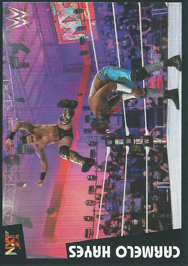 WWE Panini 2022 Sticker Collection Carmelo Hayes No.221