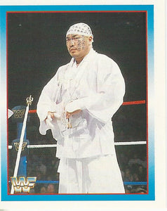 WWF Merlin Stickers 1995 Hakushi No.223