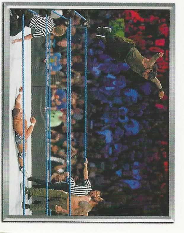 WWE Topps 2018 Stickers The Usos No.223